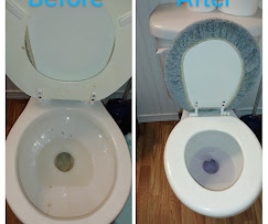 Toilet refresh before and after